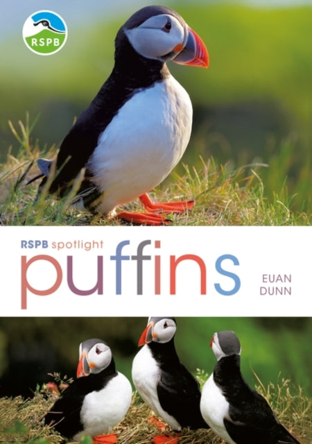 RSPB Spotlight Puffins