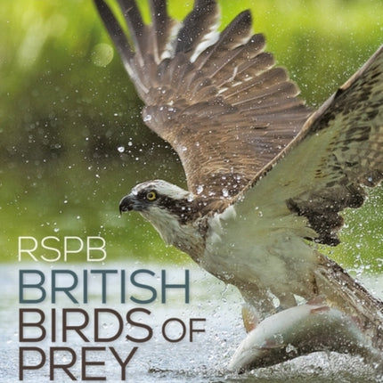 RSPB British Birds of Prey