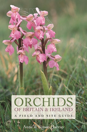 Orchids of Britain and Ireland: A Field and Site Guide