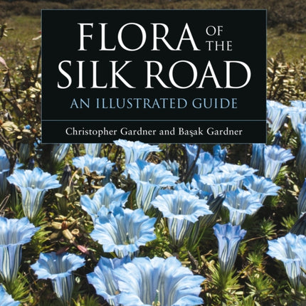 Flora of the Silk Road: An Illustrated Guide