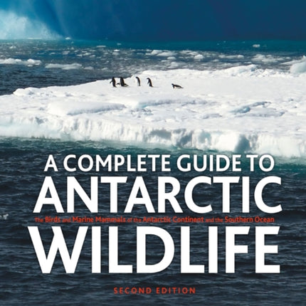 A Complete Guide to Antarctic Wildlife