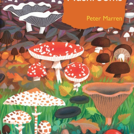 Mushrooms: The natural and human world of British fungi