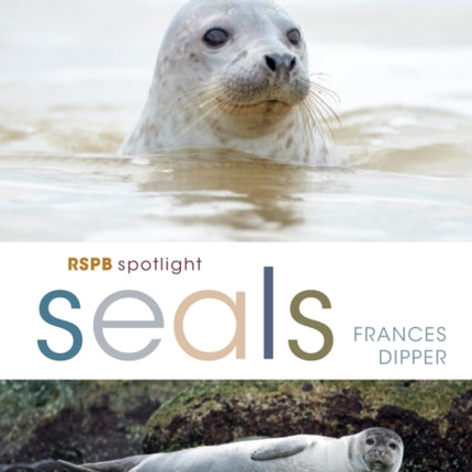 RSPB Spotlight Seals