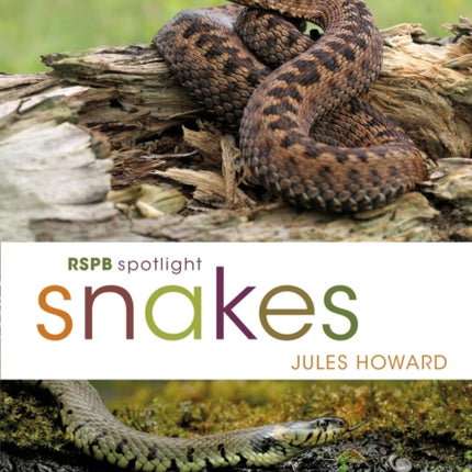 RSPB Spotlight Snakes