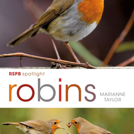 RSPB Spotlight: Robins