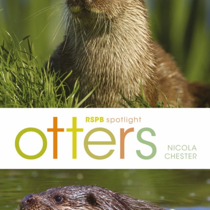 RSPB Spotlight Otters