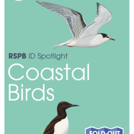 RSPB ID Spotlight - Coastal Birds