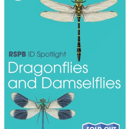 RSPB ID Spotlight - Dragonflies and Damselflies