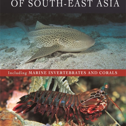 Reef Fishes of South-East Asia