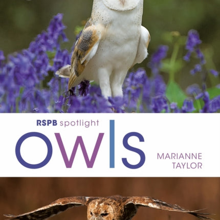 RSPB Spotlight Owls