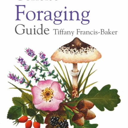 Concise Foraging Guide