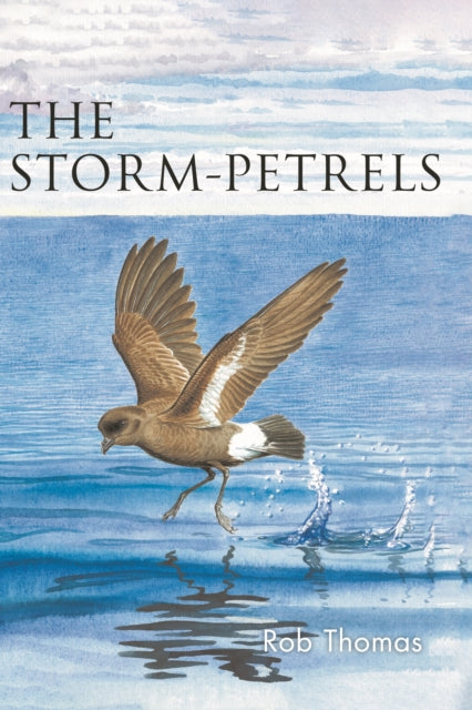 The Stormpetrels