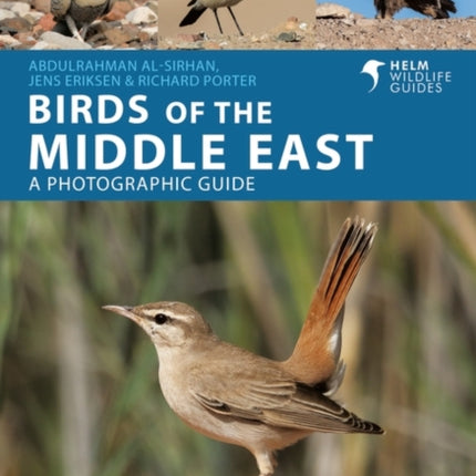 Birds of the Middle East