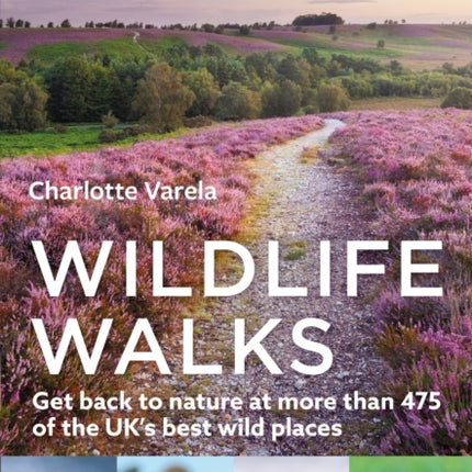 Wildlife Walks: Get back to nature at more than 475 of the UK's best wild places