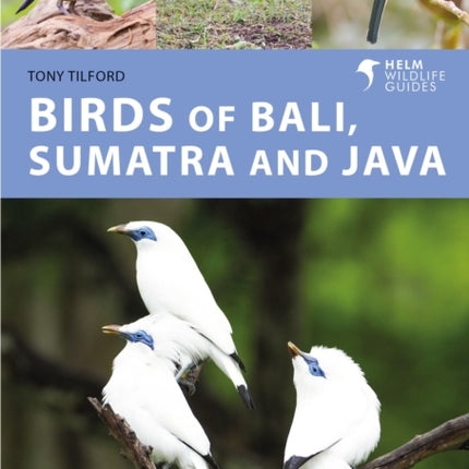 Birds of Bali, Sumatra and Java