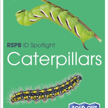 RSPB ID Spotlight - Caterpillars