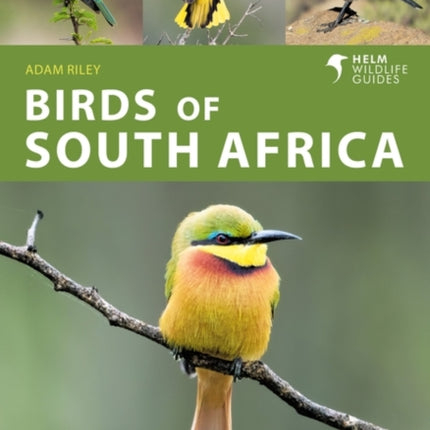 Birds of South Africa