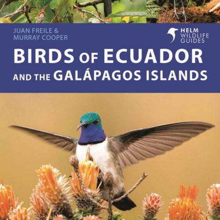 Birds of Ecuador and the Galápagos Islands