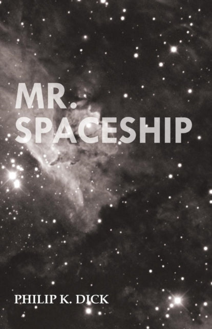 Mr Spaceship
