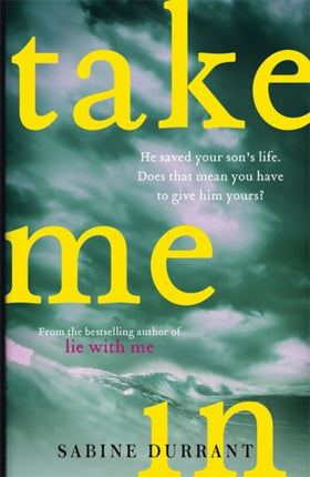 Take Me In: the twisty, unputdownable thriller from the bestselling author of Lie With Me