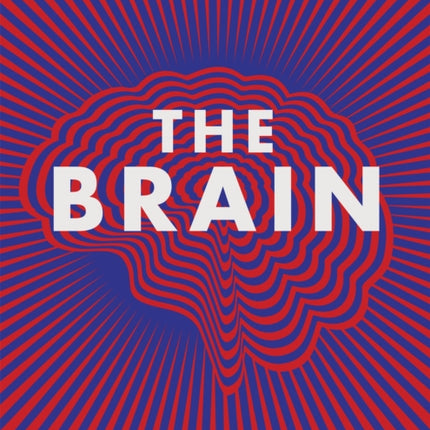 The Brain: Everything You Need to Know