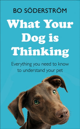 What Your Dog Is Thinking: Everything you need to know to understand your pet