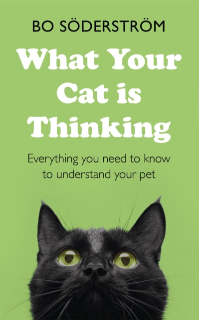 What Your Cat Is Thinking: Everything you need to know to understand your pet