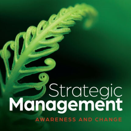 Strategic Management Awareness and Change