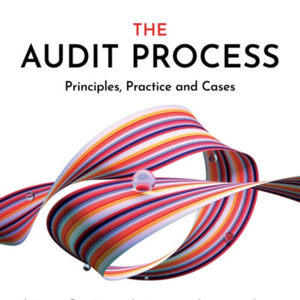 The Audit Process