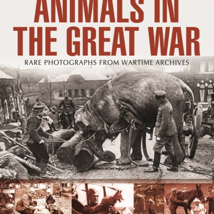 Animals in the Great War