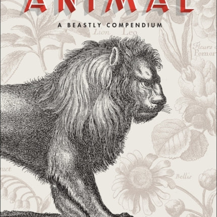 Animal: A Beastly Compendium