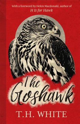 The Goshawk: With a foreword by Helen Macdonald