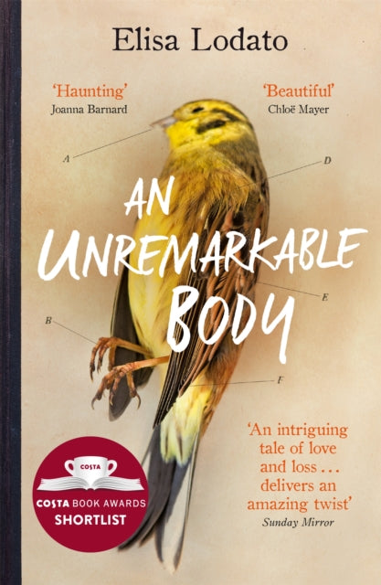 An Unremarkable Body: Shortlisted for the Costa First Novel Award 2018