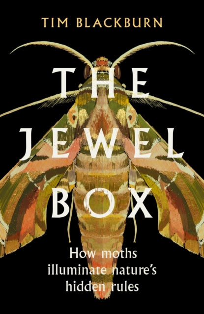 The Jewel Box: How Moths Illuminate Nature’s Hidden Rules