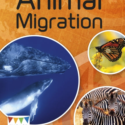 Animal Migration