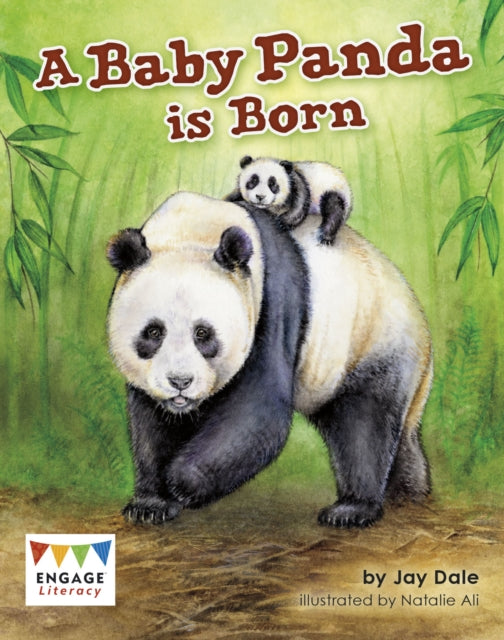 A Baby Panda is Born