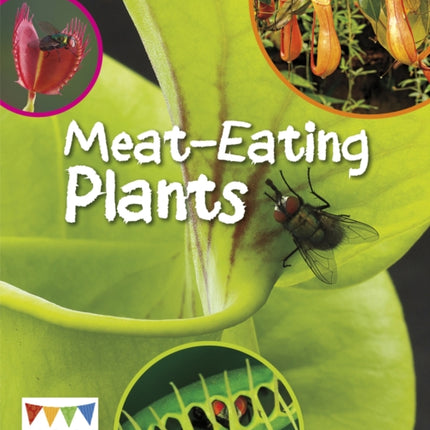 Meat-Eating Plants