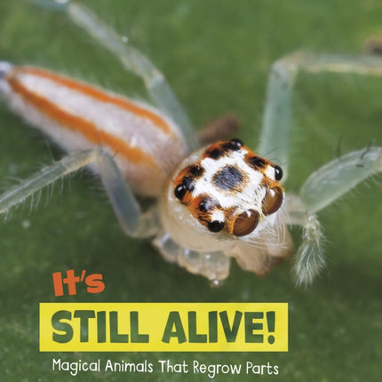 Magical Animals Its Still Alive Magical AnimalsThat Regrow Parts