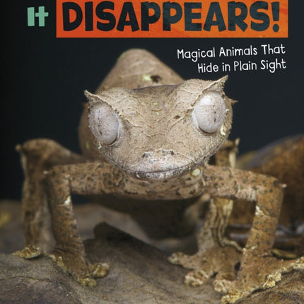 It Disappears
