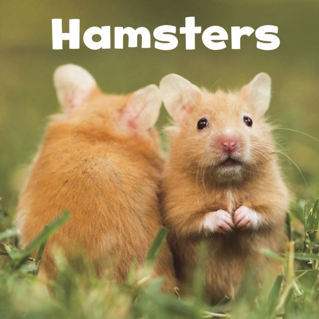 Hamsters