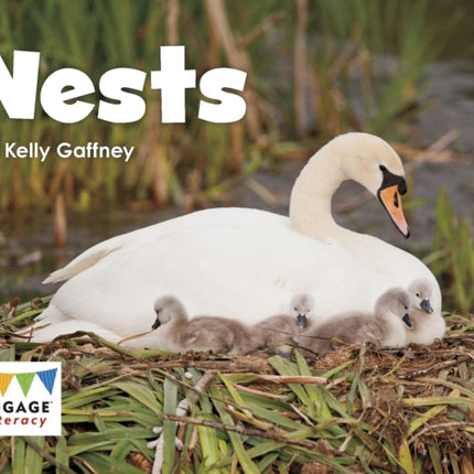 Nests