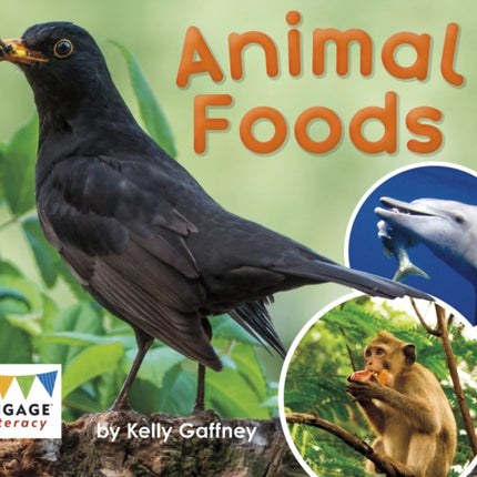 Animal Foods