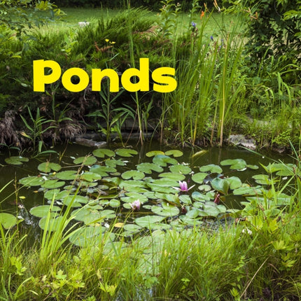 Ponds