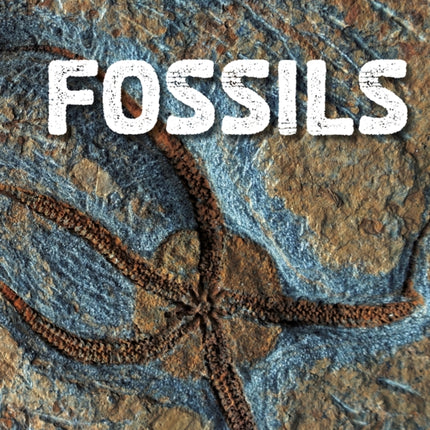 Fossils