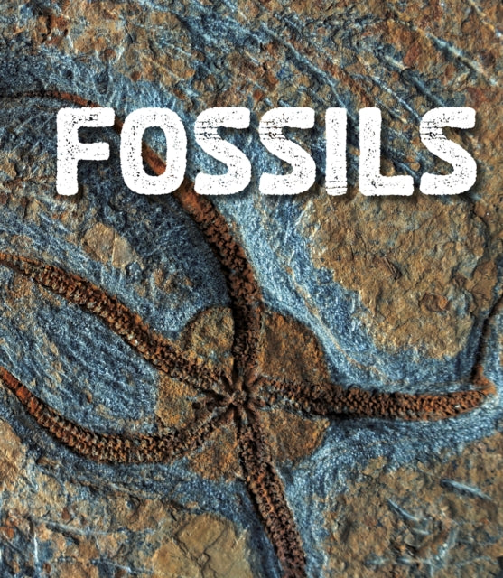 Fossils