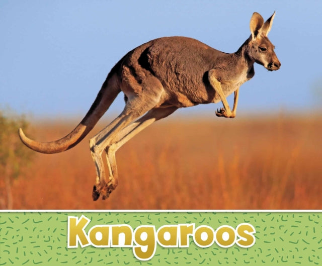 Kangaroos