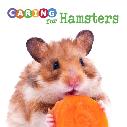 Caring for Hamsters