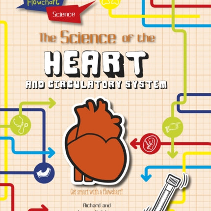 Flowchart Science The Human Body The Heart