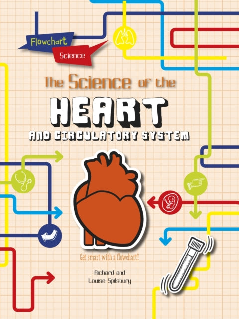 Flowchart Science The Human Body The Heart