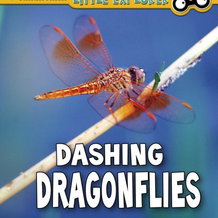 Dashing Dragonflies